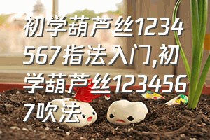 初学葫芦丝1234567指法入门（初学葫芦丝1234567吹法）