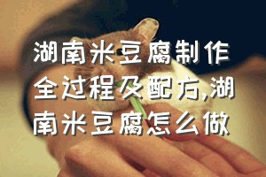 湖南米豆腐制作全过程及配方（湖南米豆腐怎么做）