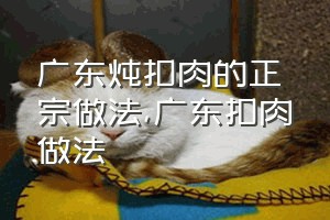 广东炖扣肉的正宗做法（广东扣肉做法）