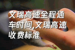 文瑞高速全程通车时间（文瑞高速收费标准）