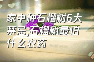 家中种石榴树6大禁忌（石榴树最怕什么农药）