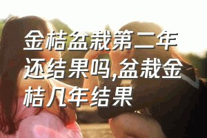 金桔盆栽第二年还结果吗（盆栽金桔几年结果）