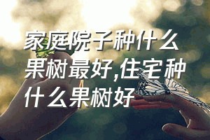 家庭院子种什么果树最好（住宅种什么果树好）