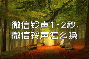 微信铃声1-2秒（微信铃声怎么换）