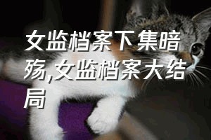 女监档案下集暗殇（女监档案大结局）