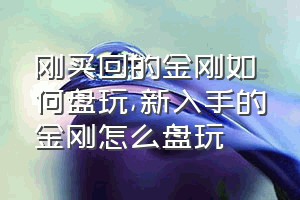 刚买回的金刚如何盘玩（新入手的金刚怎么盘玩）