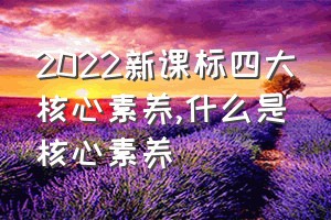 2022新课标四大核心素养（什么是核心素养）