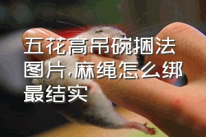 五花高吊碗捆法图片（麻绳怎么绑最结实）