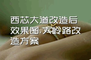 西芯大道改造后效果图（大岭路改造方案）