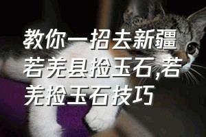 教你一招去新疆若羌县捡玉石（若羌捡玉石技巧）