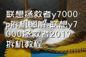 联想拯救者y7000p拆机图解（联想y7000拯救者2019拆机教程）