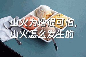 山火为啥很可怕（山火怎么发生的）