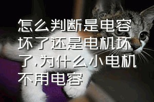 怎么判断是电容坏了还是电机坏了（为什么小电机不用电容）