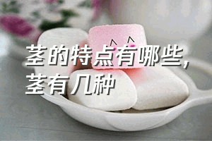 茎的特点有哪些（茎有几种）