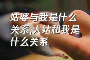 姑婆与我是什么关系（大姑和我是什么关系）