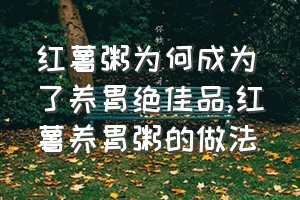 红薯粥为何成为了养胃绝佳品（红薯养胃粥的做法）