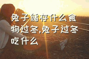 兔子储存什么食物过冬（兔子过冬吃什么）