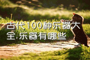 古代100种乐器大全（乐器有哪些）