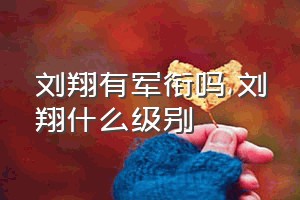 刘翔有军衔吗（刘翔什么级别）