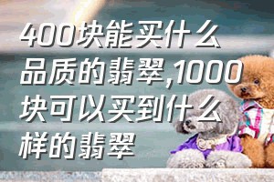 400块能买什么品质的翡翠（1000块可以买到什么样的翡翠）