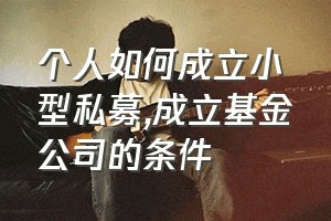 个人如何成立小型私募（成立基金公司的条件）