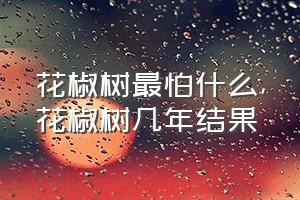 花椒树最怕什么（花椒树几年结果）