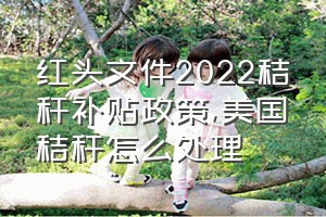 红头文件2022秸秆补贴政策（美国秸秆怎么处理）