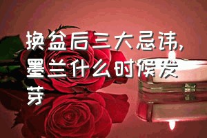 换盆后三大忌讳（墨兰什么时候发芽）