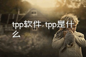 tpp软件（tpp是什么）