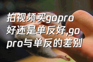 拍视频买gopro好还是单反好（gopro与单反的差别）