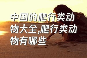 中国的爬行类动物大全（爬行类动物有哪些）