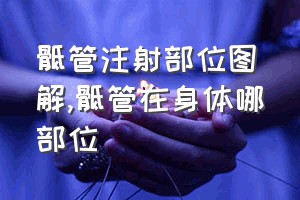 骶管注射部位图解（骶管在身体哪部位）