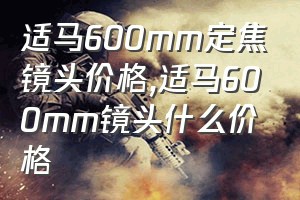 适马600mm定焦镜头价格（适马600mm镜头什么价格）