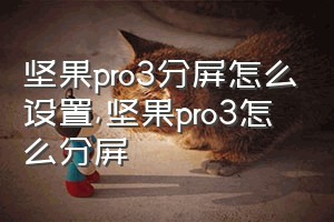 坚果pro3分屏怎么设置（坚果pro3怎么分屏）