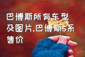 巴博斯所有车型及图片（巴博斯s系售价）