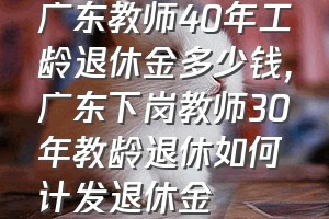 广东教师40年工龄退休金多少钱（广东下岗教师30年教龄退休如何计发退休金）