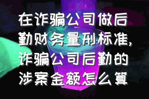 在诈骗公司做后勤财务量刑标准（诈骗公司后勤的涉案金额怎么算）