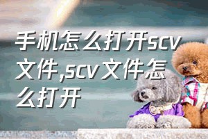 手机怎么打开scv文件（scv文件怎么打开）