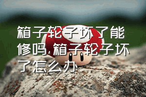 箱子轮子坏了能修吗（箱子轮子坏了怎么办）