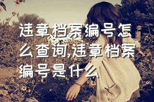 违章档案编号怎么查询（违章档案编号是什么）