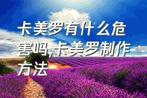 卡美罗有什么危害吗（卡美罗制作方法）