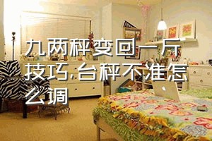 九两秤变回一斤技巧（台秤不准怎么调）