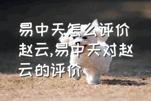 易中天怎么评价赵云（易中天对赵云的评价）