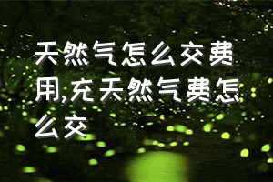 天然气怎么交费用（充天然气费怎么交）