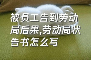 被员工告到劳动局后果（劳动局状告书怎么写）