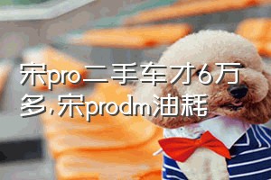 宋pro二手车才6万多（宋prodm油耗）