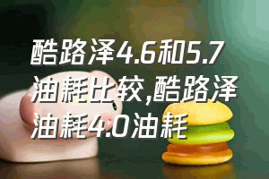 酷路泽4.6和5.7油耗比较（酷路泽油耗4.0油耗）