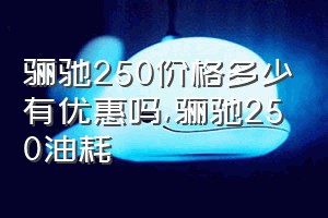 骊驰250价格多少有优惠吗（骊驰250油耗）