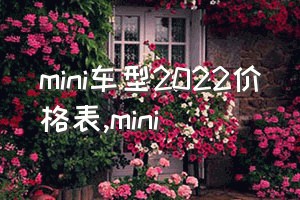 mini车型2022价格表（mini）