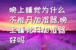 晚上睡觉为什么不能开加湿器（晚上睡觉开加湿器好吗）